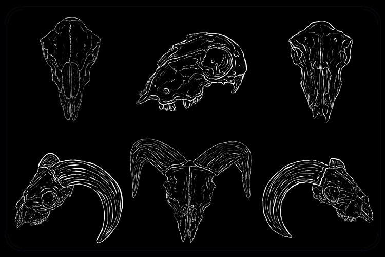 White Line Art Animal Skulls PNG Bundle For Halloween by Squeeb Creative
